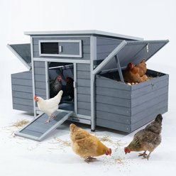 Yafylly Wooden Dual Nesting Box Chicken Coop