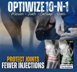 OptiWize 10-N-1 Equine Powdered Joint Supplement, 4-lb bag slide 2 of 6