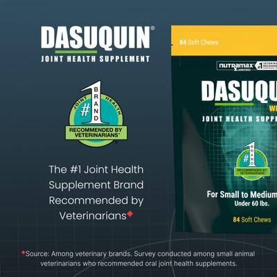 Show full view: Nutramax Dasuquin Hip & Joint Soft Chews Joint Supplement for Small & Medium Dogs, 84 count slide 4 of 11