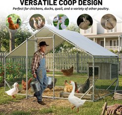 Thanaddo Metal Walk-In A-Frame Poultry Cage Chicken Coop with Waterproof & Anti-UV Cover, Silver, 11.3 x 6.3 x 6.5-ft slide 2 of 8