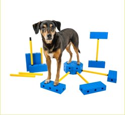 FitPAWS FitKinect Xtra Dog Training Tool, Blue