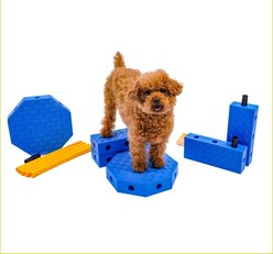 FitPAWS FitKinect Core Dog Training Tool, Blue