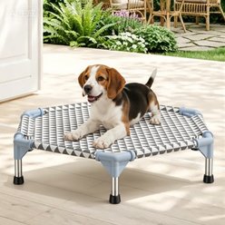 Caghash 6 Sided Elevated Raised Outdoor Dog Bed with Stainless Steel Frame, Grey, Small: 24.5 x 24.5 x 8-in