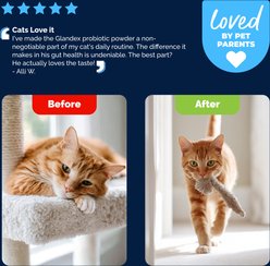 Vetnique Labs Glandex Feline Daily Prebiotic & Probiotic Digestive Aid Powder Supplement for Cats, 4-oz jar slide 2 of 9