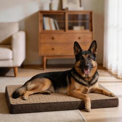 MIXJOY Rabbit Fur Quilted Orthopedic Pillowtop Removable Cover Pillow Dog & Cat Bed, Brown, XX-Large