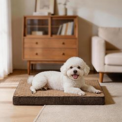 MIXJOY Rabbit Fur Quilted Orthopedic Pillowtop Removable Cover Pillow Dog & Cat Bed, Brown, Medium