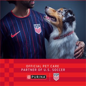 Purina ONE +Plus Natural Large Breed Adult Real Chicken Muscle & Joint Support Large Dry Dog Food, 40-lb bag