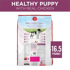 Purina ONE Plus Natural High Protein Healthy Puppy Chicken Formula Dry Puppy Food, 16.5-lb bag