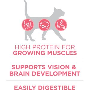 Purina ONE +Plus Healthy Kitten Muscle Vision & Brain Development Natural Dry Cat Food, 16-lb bag