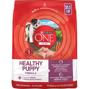 Purina ONE Plus Natural High Protein Healthy Puppy Chicken Formula Dry Puppy Food, 31.1-lb bag