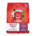 Purina ONE Plus Natural High Protein Healthy Puppy Chicken Formula Dry Puppy Food, 31.1-lb bag