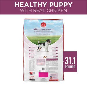 Purina ONE Plus Natural High Protein Healthy Puppy Chicken Formula Dry Puppy Food, 31.1-lb bag