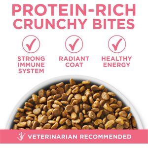 Purina ONE +Plus Healthy Kitten Muscle Vision & Brain Development Natural Dry Cat Food, 16-lb bag