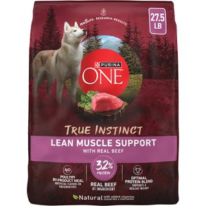 Discontinued - PURINA ONE Plus Healthy Weight Formula Dry Dog Food, 40-lb  bag, bundle of 3 - Chewy.com