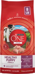 Purina ONE Plus Natural High Protein Healthy Puppy Chicken Formula Dry Puppy Food, 8-lb bag