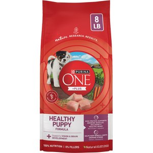 natural balance dog food small breed Buy Natural Balance Pet Foods Lamb & Brown Rice Dry Dog Food