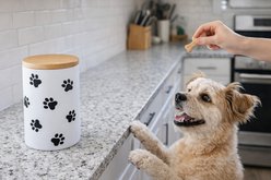 Signature Housewares All Over Paw Canister Ceramic Cat Treat Jar, Small, White slide 2 of 6