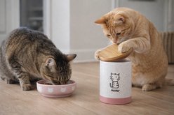 Signature Housewares Meow Canister Ceramic Cat Treat Jar, Small, Pink slide 2 of 5