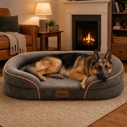 Kylinsure Waterproof Orthopedic Bolster Dog & Cat Bed with Removable Cover, Brown, Large