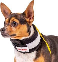 KVP International BiteNot Dog Recovery Collar, X-Large: 17 to 23.5-in neck