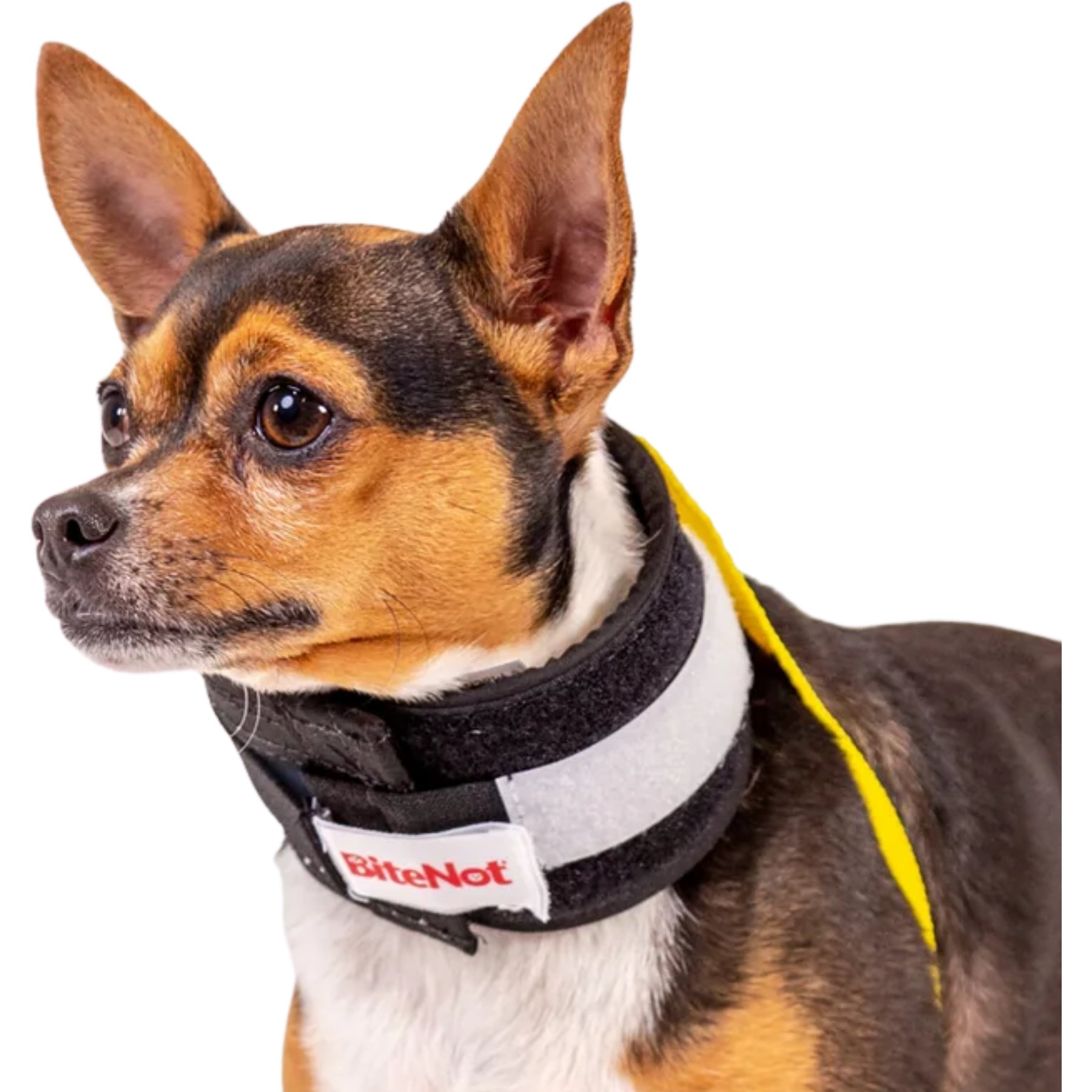 KVP International BiteNot Dog Recovery Collar, X-Small: 9 to 13.5-in neck
