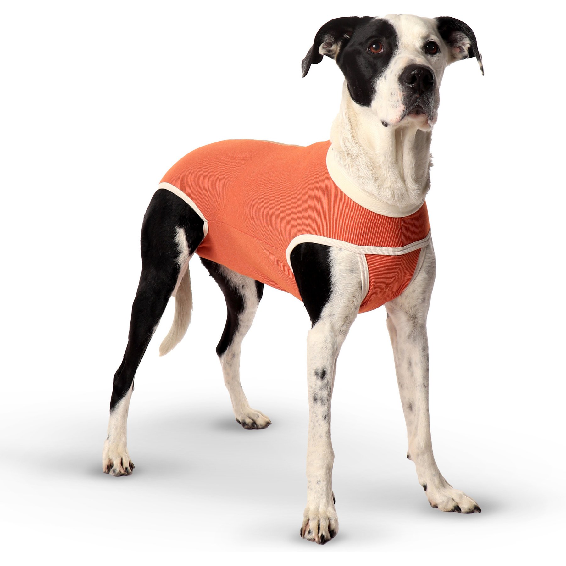 KVP International CopperBody Classic Dog Recovery Suit, Size 8