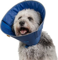 KVP International Calmer E-Collar Dog Recovery Collar, X-Small: 6 to 9-in neck slide 1 of 6