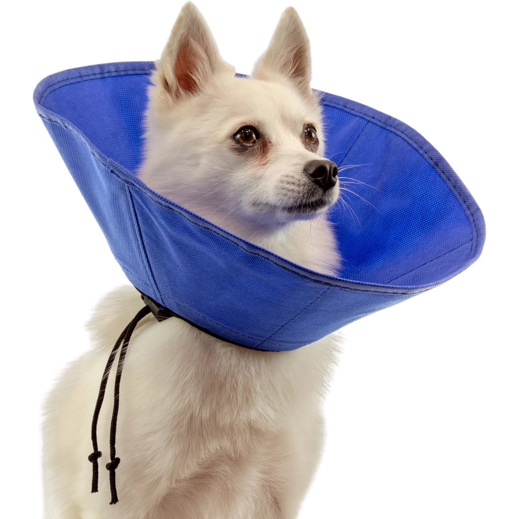 KVP International EZ Soft Dog Recovery Collar, Small: 5.5 to 12.25-in neck