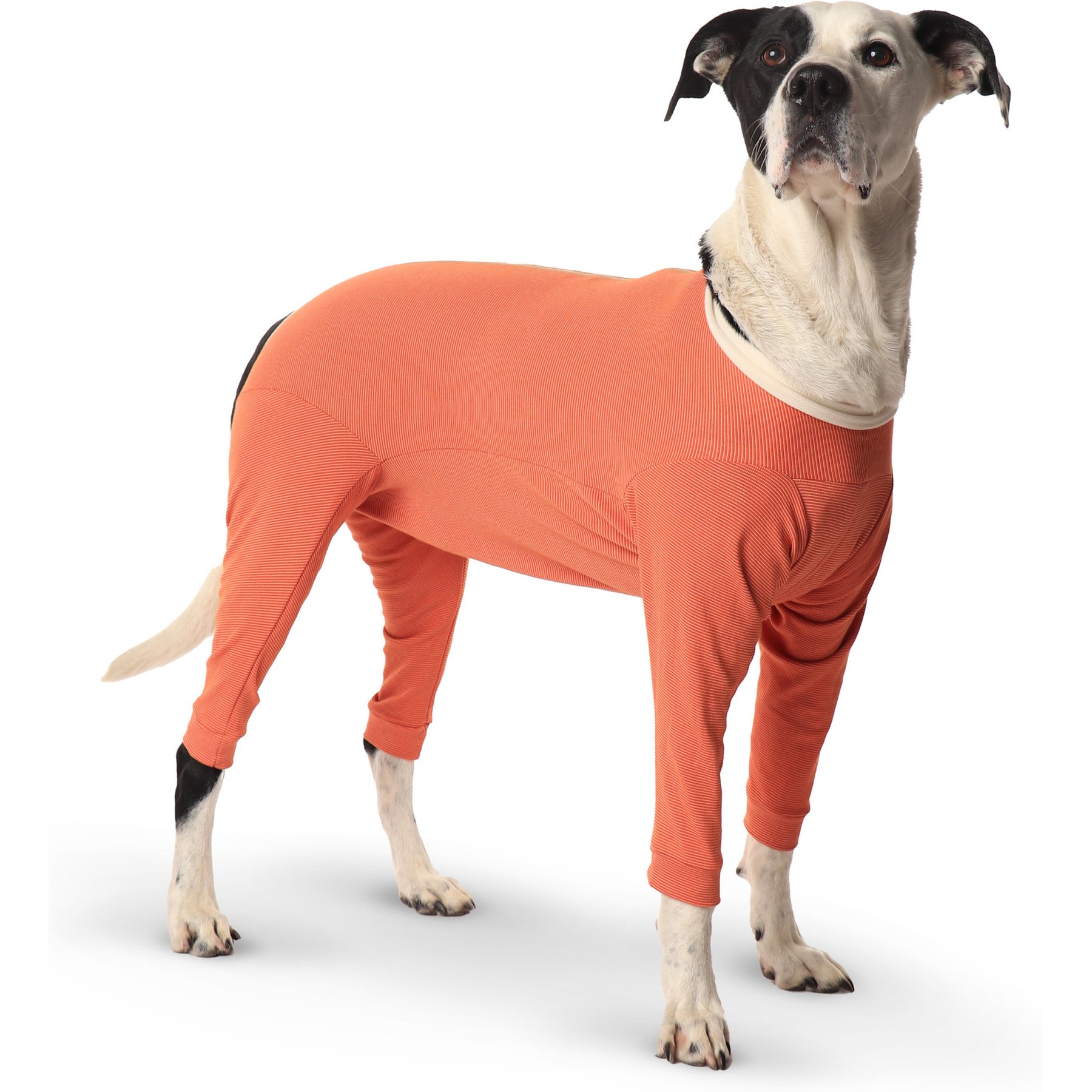 KVP International CopperBody 4-Legs Dog Recovery Suit, Size 00