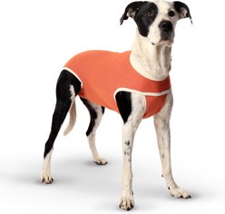 KVP International CopperBody Classic Dog Recovery Suit, Size 12