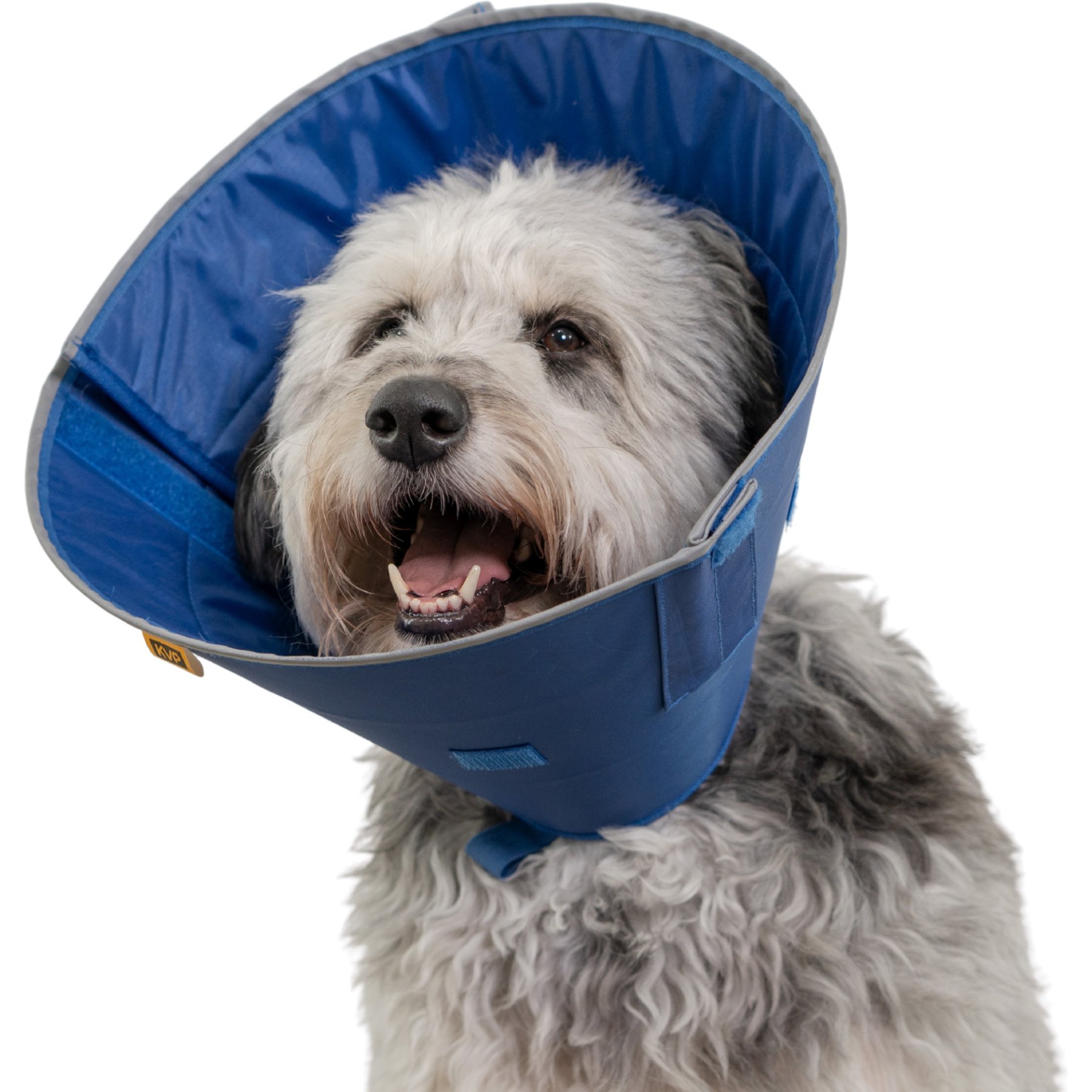 KVP International Calmer E-Collar Dog Recovery Collar, Small: 9 to 11-in neck