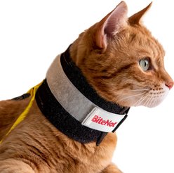 KVP International BiteNot Cat Recovery Collar, Medium