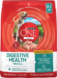 Purina ONE +Plus Adult Digestive Health Formula Dry Dog Food, 31.1-lb bag