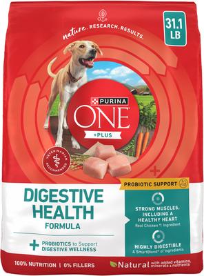 Purina ONE +Plus Adult Digestive Health Formula Dry Dog Food, 31.1-lb bag