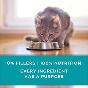 Purina ONE Grain-Free Variety Pack Natural High Protein Canned Cat Food, 3-oz, case of 24