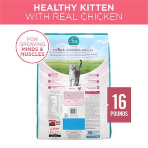 Purina ONE +Plus Healthy Kitten Muscle Vision & Brain Development Natural Dry Cat Food, 16-lb bag