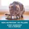 Show in main carousel: Purina ONE Tender Selects Blend with Real Chicken Digestive Formula Dry Cat Food, 22-lb bag slide 8 of 11