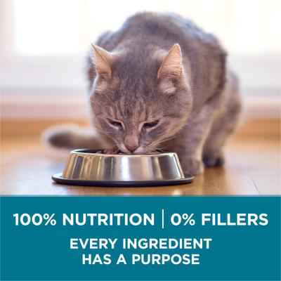 Show full view: Purina ONE Tender Selects Blend with Real Chicken Digestive Formula Dry Cat Food, 22-lb bag slide 8 of 11