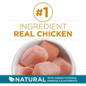 Purina ONE Tender Selects Blend with Real Chicken Natural Dry Cat Food, 16-lb bag