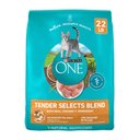 Purina ONE Tender Selects Blend with Real Chicken Digestive Formula Dry Cat Food, 22-lb bag