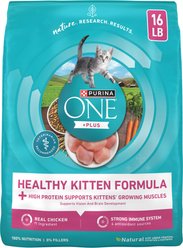 Purina ONE +Plus Healthy Kitten Muscle Vision & Brain Development Natural Dry Cat Food, 16-lb bag slide 1 of 8