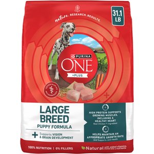 Purina ONE Plus Natural Large Breed Formula Dry Puppy Food, 31.1-lb bag