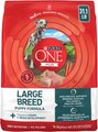 Purina ONE Plus Natural Large Breed Formula Dry Puppy Food, 31.1-lb bag