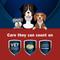 Show in main carousel: Pet Protect Vet-Formulated Synovi G4 Hip & Joint+ Chicken Flavored Soft Chew Supplement with Glucosamine for Dogs, 60 count slide 5 of 9