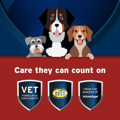 Show full view: Pet Protect Vet-Formulated Synovi G4 Hip & Joint+ Chicken Flavored Soft Chew Supplement with Glucosamine for Dogs, 60 count slide 5 of 9