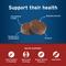 Show in main carousel: Pet Protect Vet-Formulated Synovi G4 Hip & Joint+ Chicken Flavored Soft Chew Supplement with Glucosamine for Dogs, 60 count slide 6 of 9