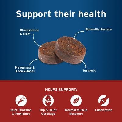 Show full view: Pet Protect Vet-Formulated Synovi G4 Hip & Joint+ Chicken Flavored Soft Chew Supplement with Glucosamine for Dogs, 60 count slide 6 of 9