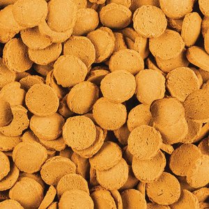 Tetra ShrimpWafers Catfish & Loaches Fish Food, 3-oz