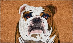 Calloway Mills English Bull Dog Outdoor Doormat, 24 x 36-in