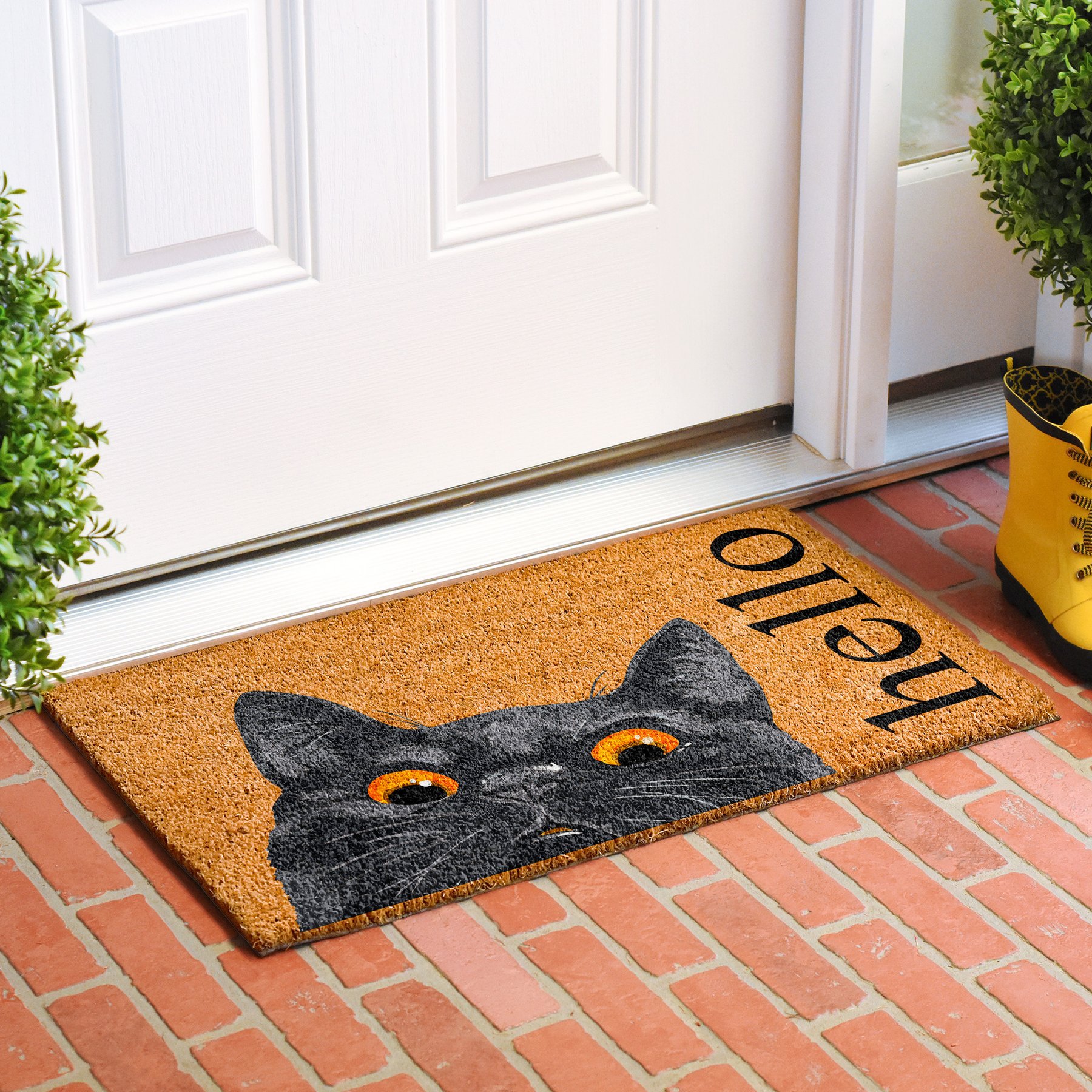 Calloway Mills Bombay Black Outdoor Doormat, 24 x 36-in
